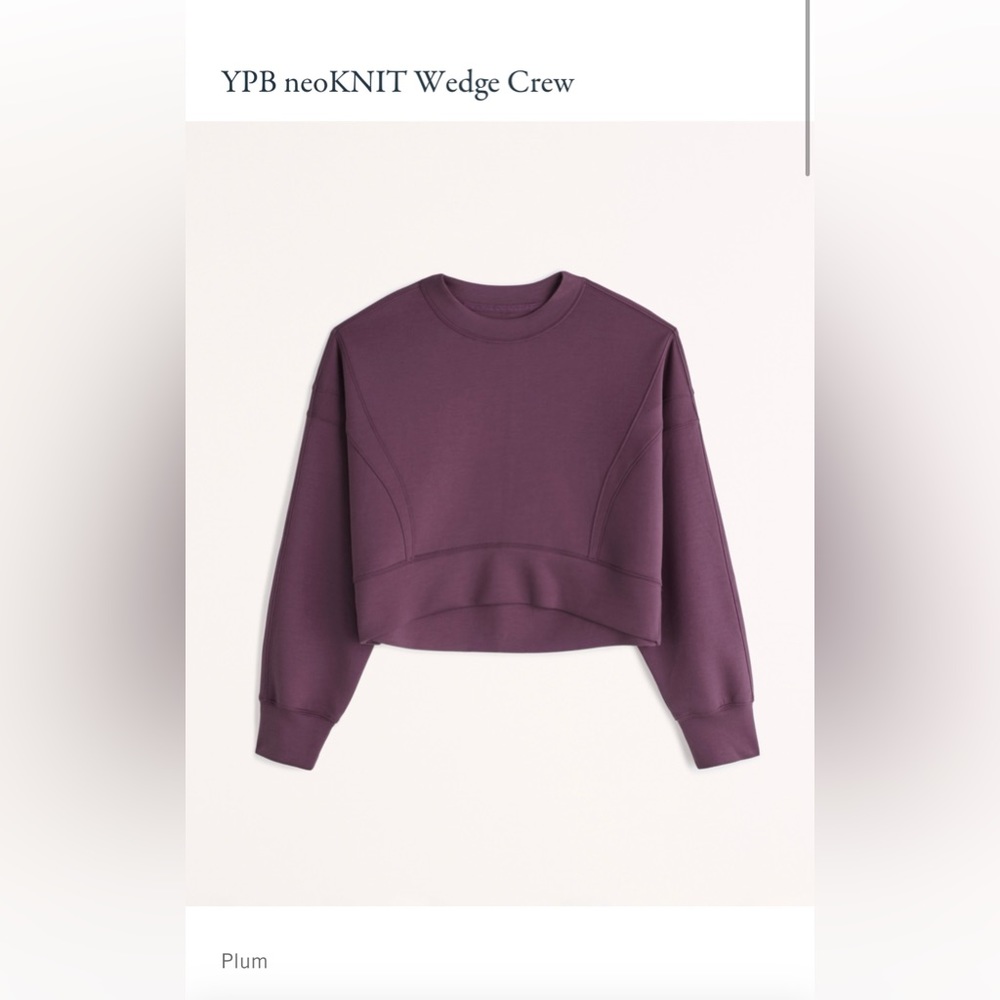 Abercrombie & Fitch Plum Sweatshirt